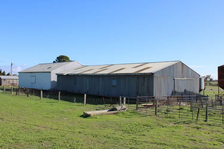 Seventh view of Homely rural property listing, 2221 Tynan Road, Yumali SA 5261