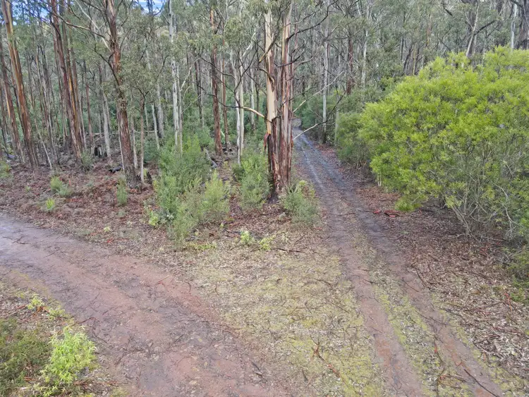 Second view of Homely land listing, PID 6408103 Irish Town Road, St Marys TAS 7215