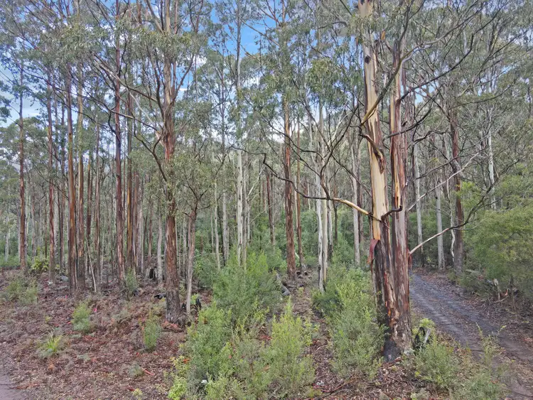 Sixth view of Homely land listing, PID 6408103 Irish Town Road, St Marys TAS 7215