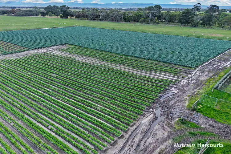 Fourth view of Homely rural property listing, 240 Yarram Port Albert Road, Alberton VIC 3971