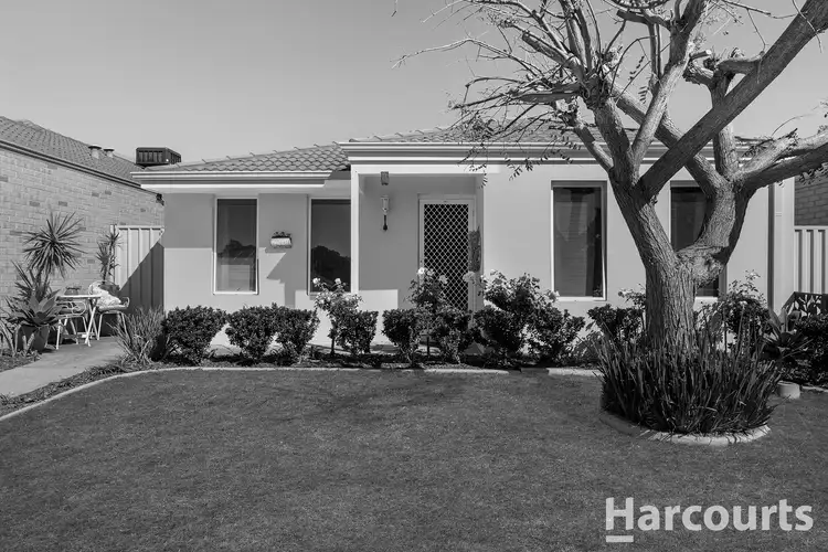6 Conebush Circle, Falcon WA 6210