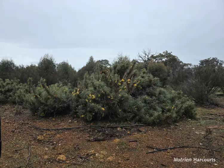 Second view of Homely rural property listing, 292 Neymerup Road, Boscabel WA 6394