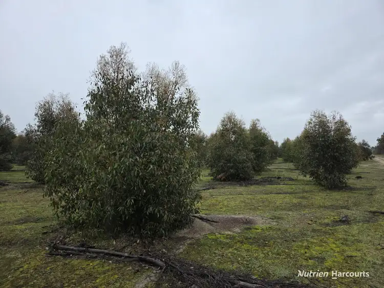 Third view of Homely rural property listing, 292 Neymerup Road, Boscabel WA 6394