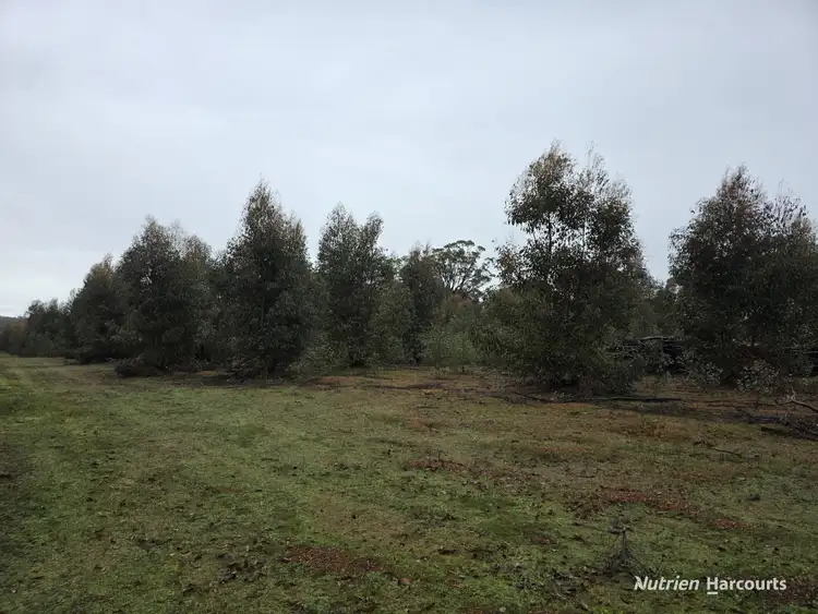 Fourth view of Homely rural property listing, 292 Neymerup Road, Boscabel WA 6394