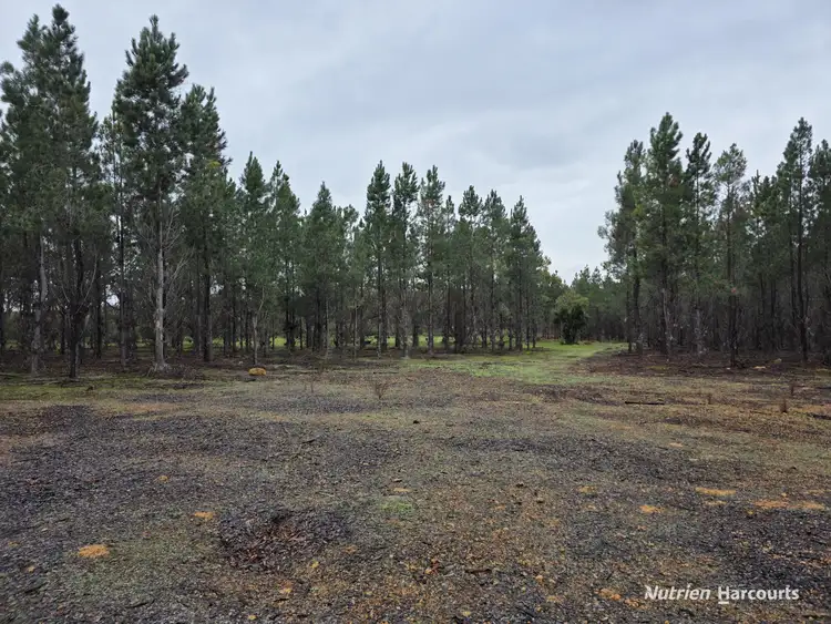 Fifth view of Homely rural property listing, 292 Neymerup Road, Boscabel WA 6394