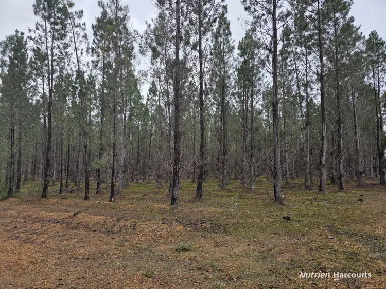Sixth view of Homely rural property listing, 292 Neymerup Road, Boscabel WA 6394