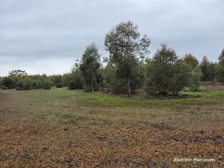 Seventh view of Homely rural property listing, 292 Neymerup Road, Boscabel WA 6394