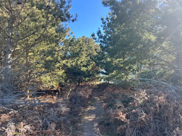 Fifth view of Homely land listing, 4 & 5 Bertram Street, Naracoopa TAS 7256