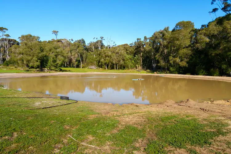 Fourth view of Homely rural property listing, 229 Windy Harbour Road (Boorara Brook), Northcliffe WA 6262