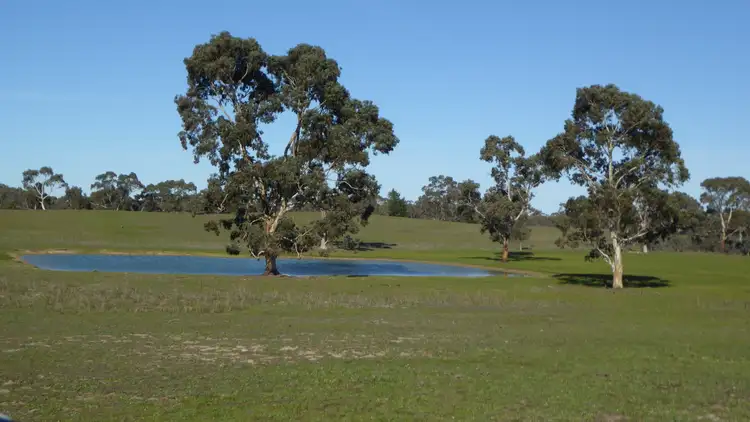 Second view of Homely rural property listing, 2147 Bangham Road, Frances SA 5262