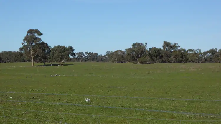 Fifth view of Homely rural property listing, 2147 Bangham Road, Frances SA 5262