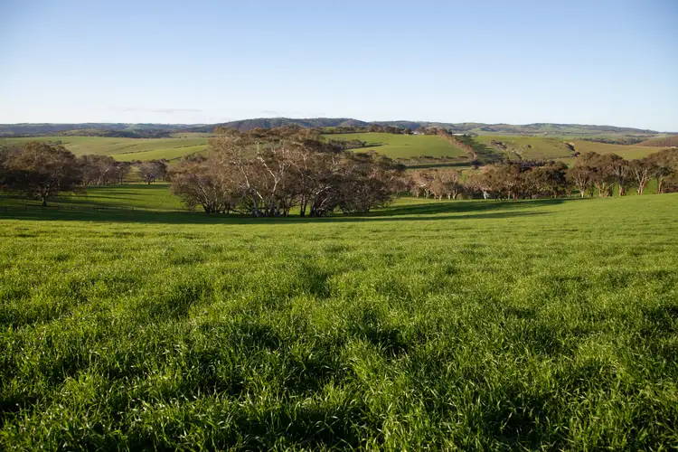 Fourth view of Homely rural property listing, 632 Salt Creek Road, Yankalilla SA 5203