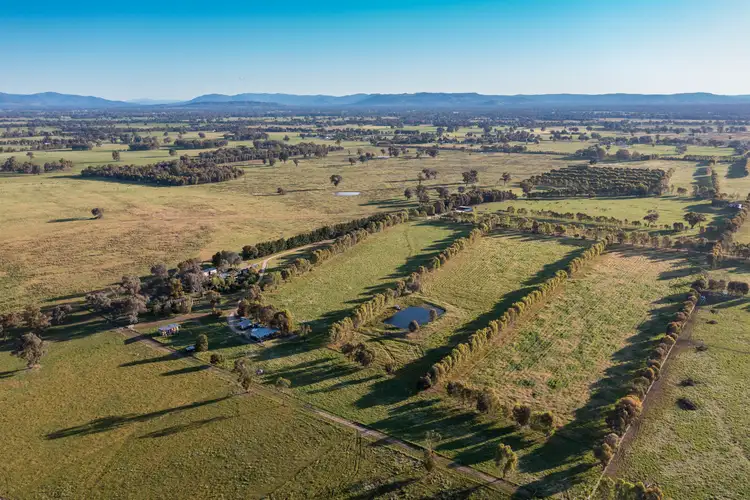 Third view of Homely rural property listing, 353 Coach Rd, Benalla VIC 3672