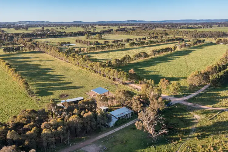 Fourth view of Homely rural property listing, 353 Coach Rd, Benalla VIC 3672