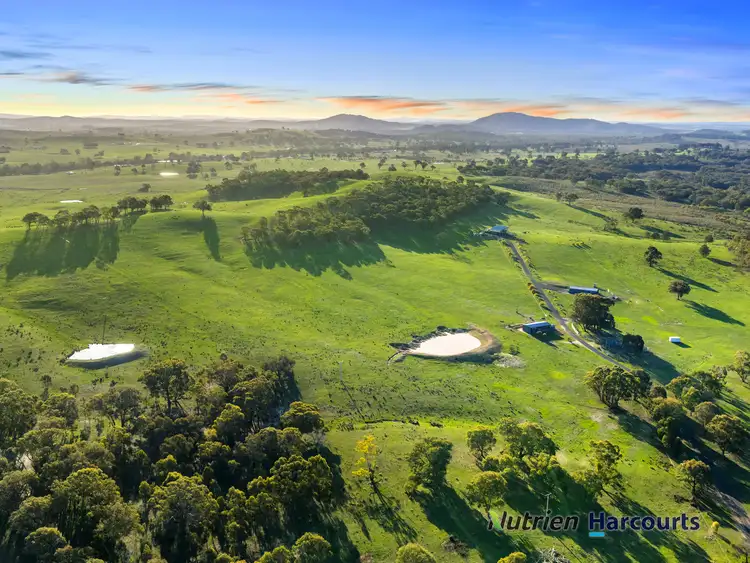 Second view of Homely rural property listing, 250 Daisyburn Road, Hilldene VIC 3660