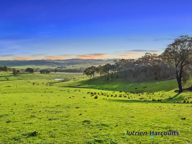 Third view of Homely rural property listing, 250 Daisyburn Road, Hilldene VIC 3660