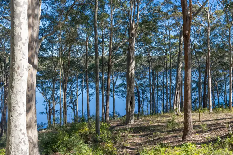 Fourth view of Homely land listing, 8 William Street, Kings Point NSW 2539