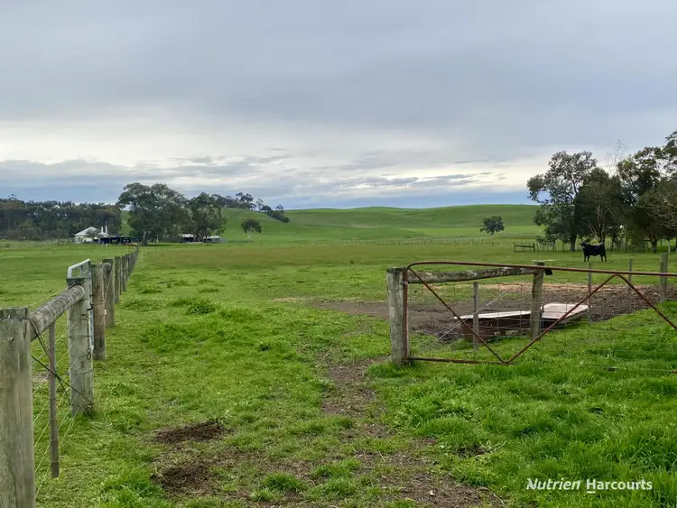 Seventh view of Homely house listing, 5911 Portland-Casterton Road, Sandford VIC 3312