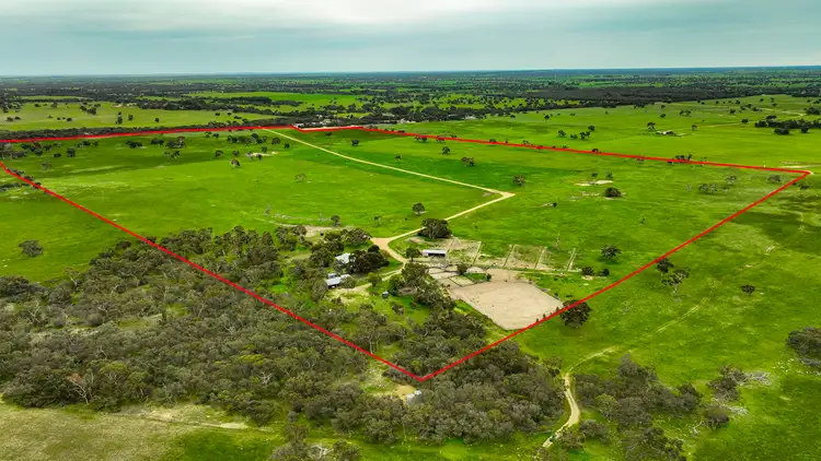 Main view of Homely rural property listing, 3467 Riddoch Highway, Willalooka SA 5267