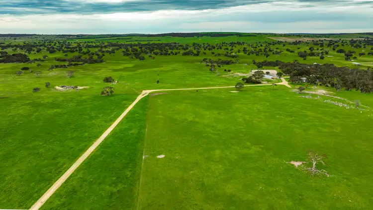 Second view of Homely rural property listing, 3467 Riddoch Highway, Willalooka SA 5267