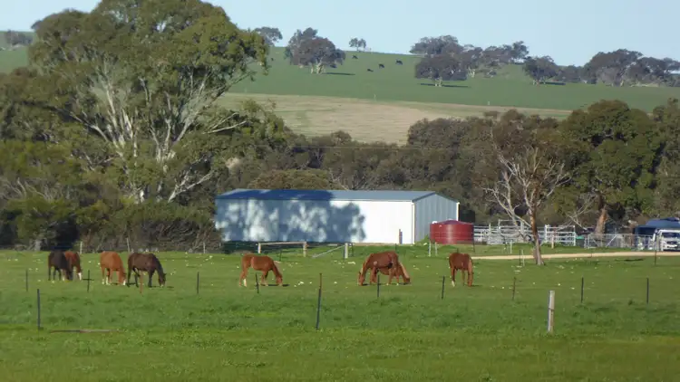 Third view of Homely rural property listing, 3467 Riddoch Highway, Willalooka SA 5267
