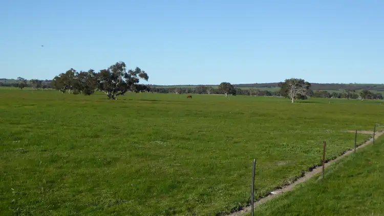 Sixth view of Homely rural property listing, 3467 Riddoch Highway, Willalooka SA 5267