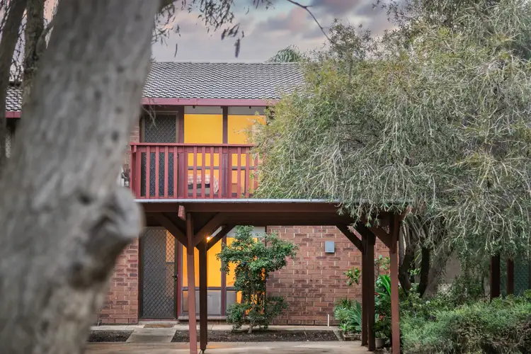 3/24 Cohen Court, Clovelly Park SA 5042