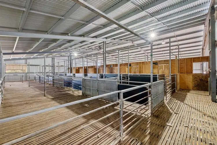 Fourth view of Homely rural property listing, . Bradford Road, Baringhup VIC 3463