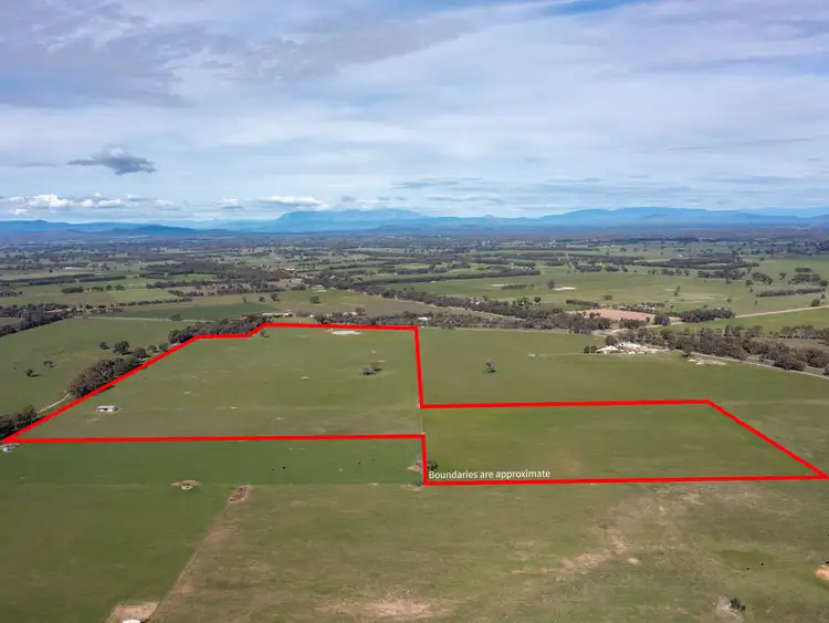 Sixth view of Homely rural property listing, 659 Wangaratta-Eldorado Road, Londrigan VIC 3678