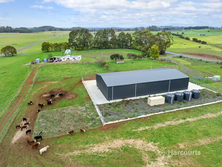 Second view of Homely rural property listing, 279 Ridgley Highway, Romaine TAS 7320