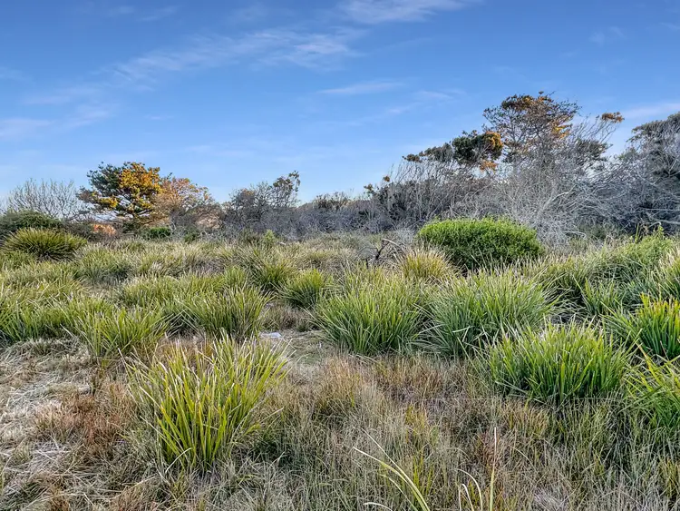 Fourth view of Homely land listing, PID 6792184 Tasman Highway, Beaumaris TAS 7215