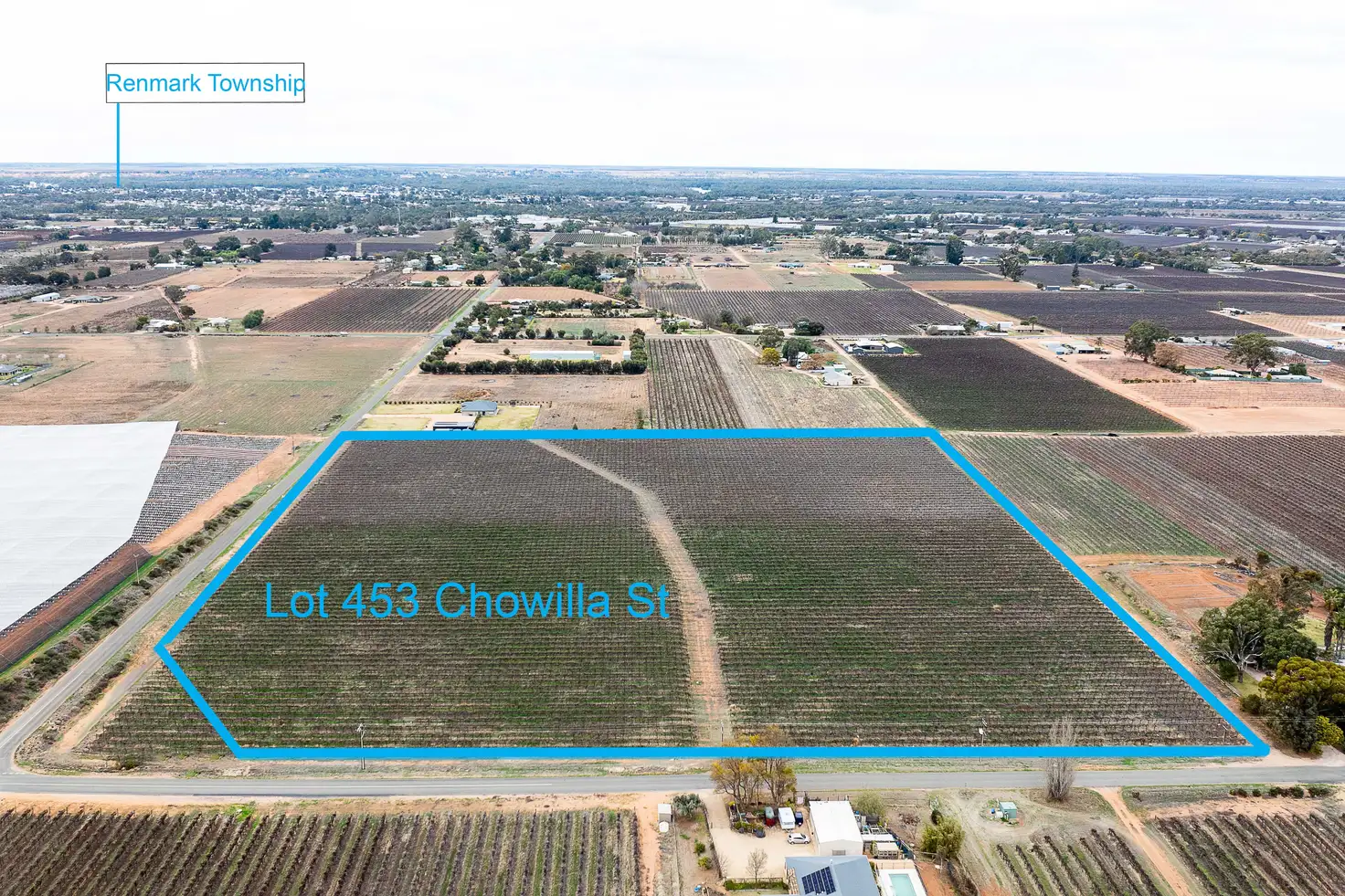 Main view of Homely rural property listing, Lot 453 Chowilla Street, Renmark SA 5341