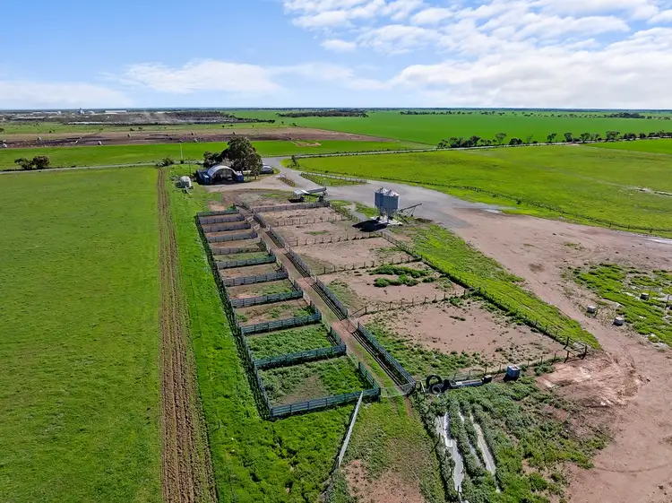 Sixth view of Homely rural property listing, 538 Shannon Road, Dublin SA 5501