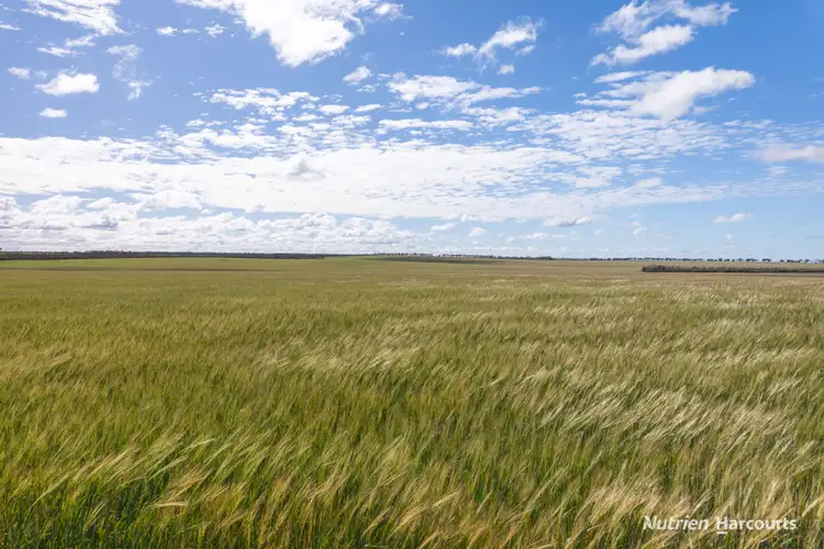 Fourth view of Homely rural property listing, 5157 Rollond Road, Cascade WA 6450