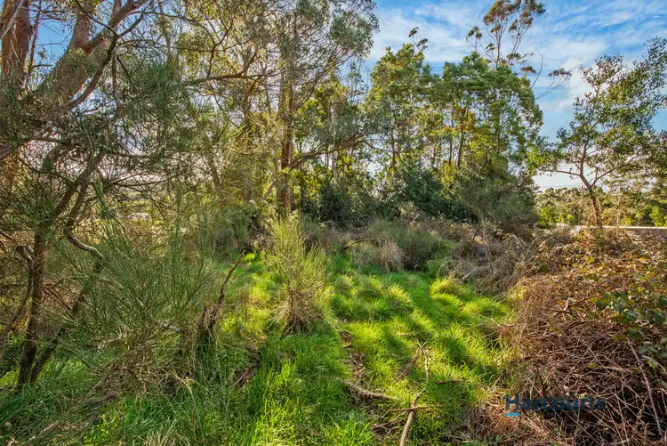 Second view of Homely land listing, 17 Adams Street, Zeehan TAS 7469