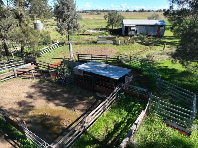 Sixth view of Homely rural property listing, 635 Mayfield Road, Narrabri NSW 2390