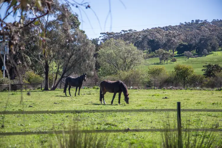 Second view of Homely house listing, 620A Springs Road, Mount Barker SA 5251