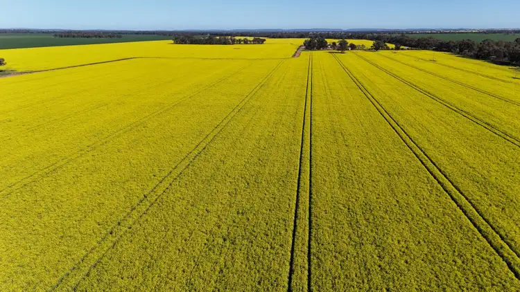 Fourth view of Homely rural property listing, 349 Warregal Road, Parkes NSW 2870
