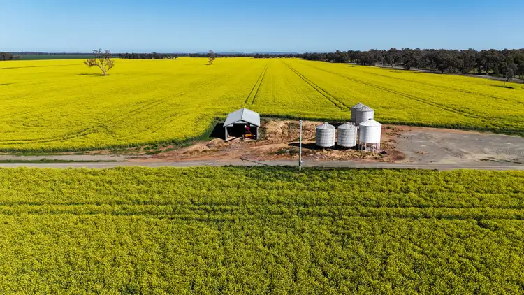 Fifth view of Homely rural property listing, 349 Warregal Road, Parkes NSW 2870