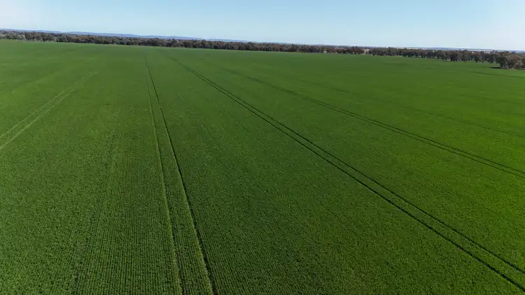 Sixth view of Homely rural property listing, 349 Warregal Road, Parkes NSW 2870