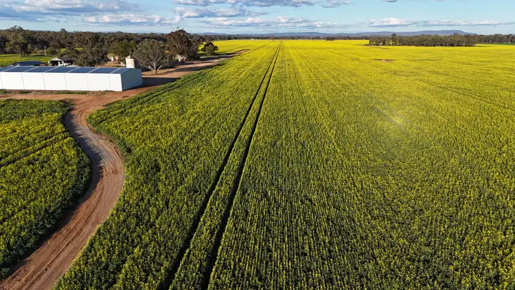 Seventh view of Homely rural property listing, 349 Warregal Road, Parkes NSW 2870