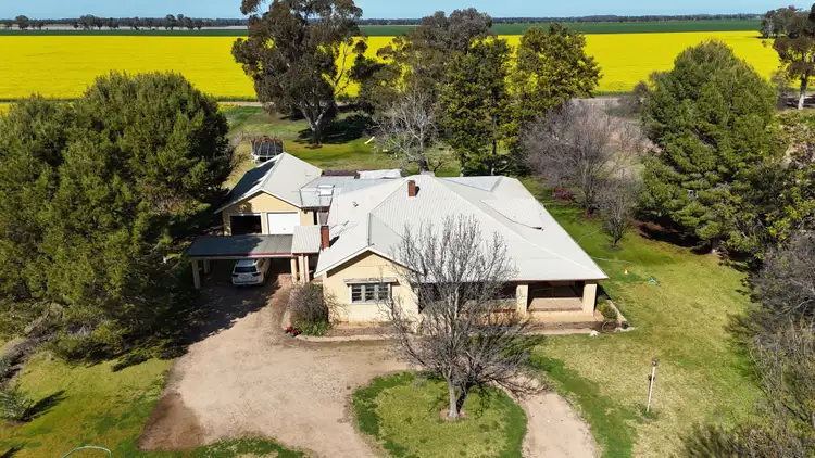 Third view of Homely rural property listing, 349 A Warregal Road, Parkes NSW 2870