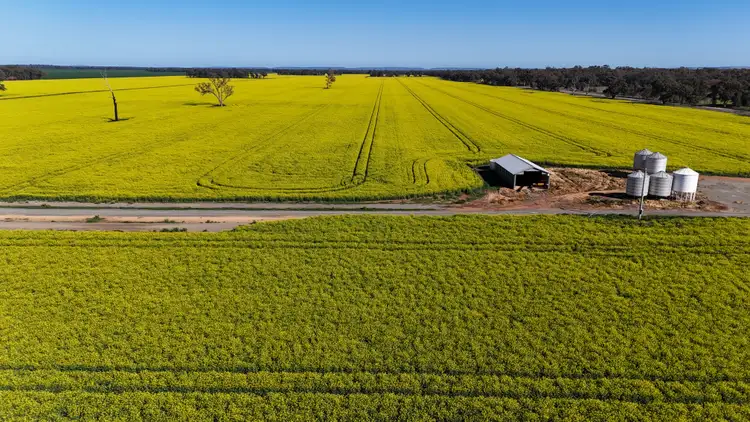Sixth view of Homely rural property listing, 349 A Warregal Road, Parkes NSW 2870