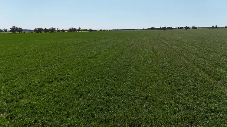 Fourth view of Homely rural property listing, 2459 The Bogan Way, Parkes NSW 2870