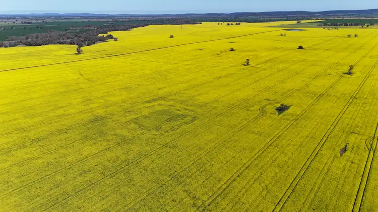 Fifth view of Homely rural property listing, 2459 The Bogan Way, Parkes NSW 2870