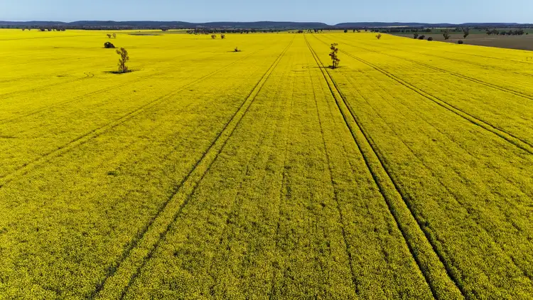 Sixth view of Homely rural property listing, 2459 The Bogan Way, Parkes NSW 2870