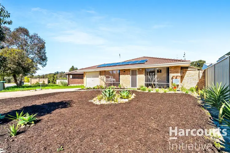 18 Everlasting Gardens