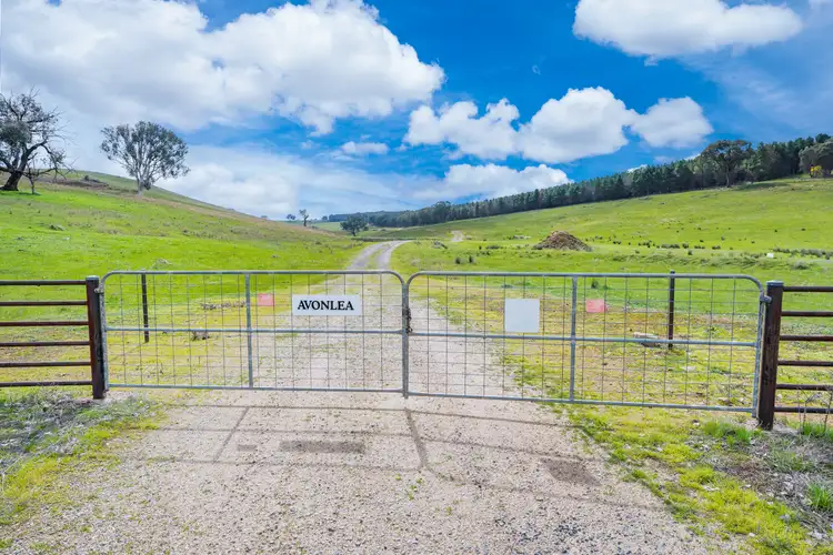 Second view of Homely rural property listing, 1510 Culcairn Holbrook Road, Morven NSW 2660