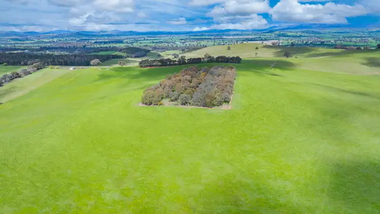 Sixth view of Homely rural property listing, 1510 Culcairn Holbrook Road, Morven NSW 2660