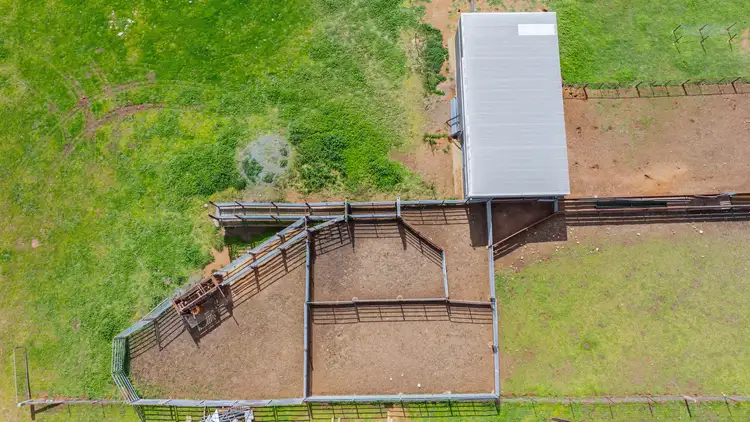 Seventh view of Homely rural property listing, 1510 Culcairn Holbrook Road, Morven NSW 2660